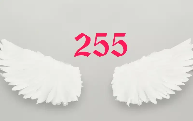 Discover the Power of Angel Number 255: Guidance for Success, Relationships, and Career