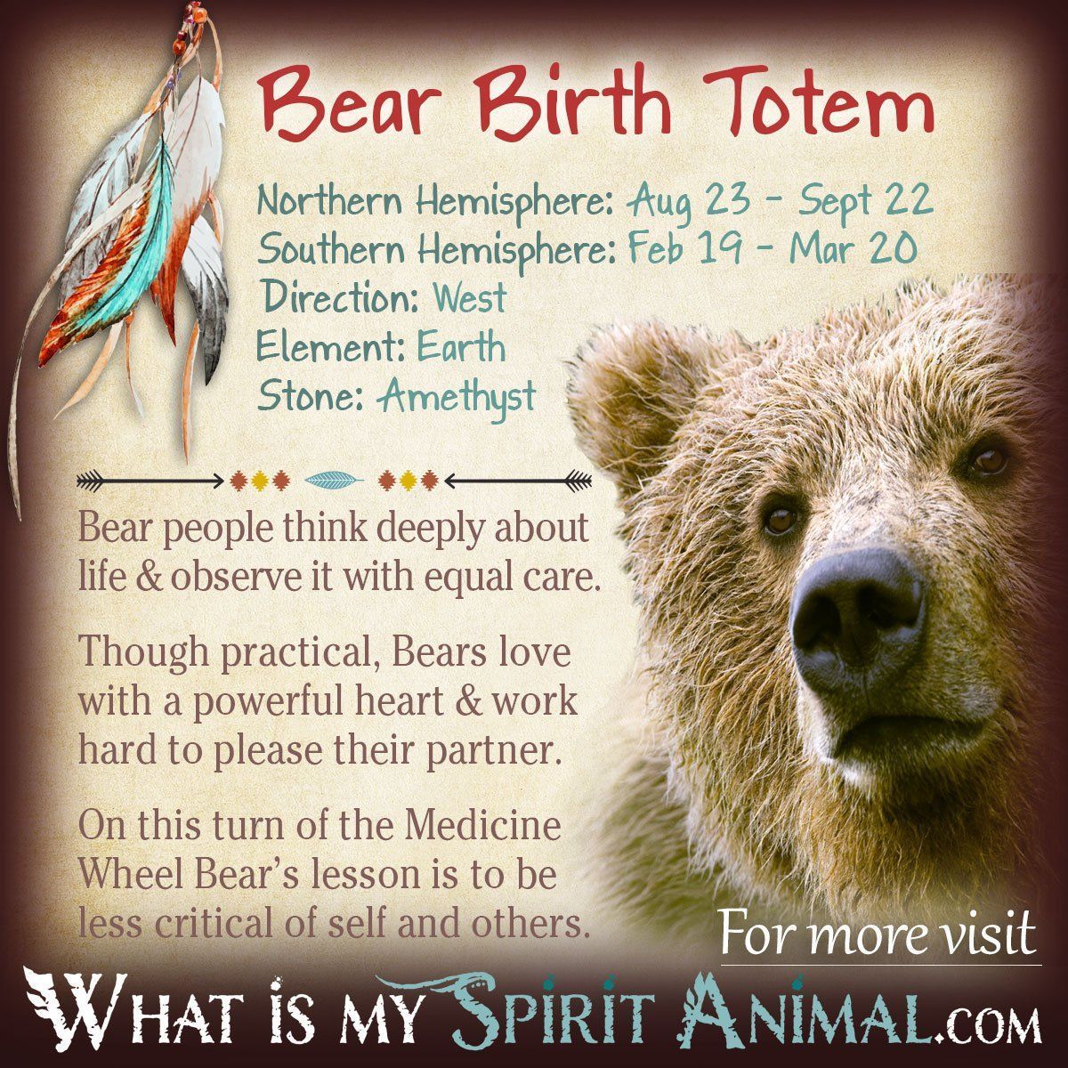 Bear Zodiac Sign: Meaning, Power, and Spiritual Insights in Astrology