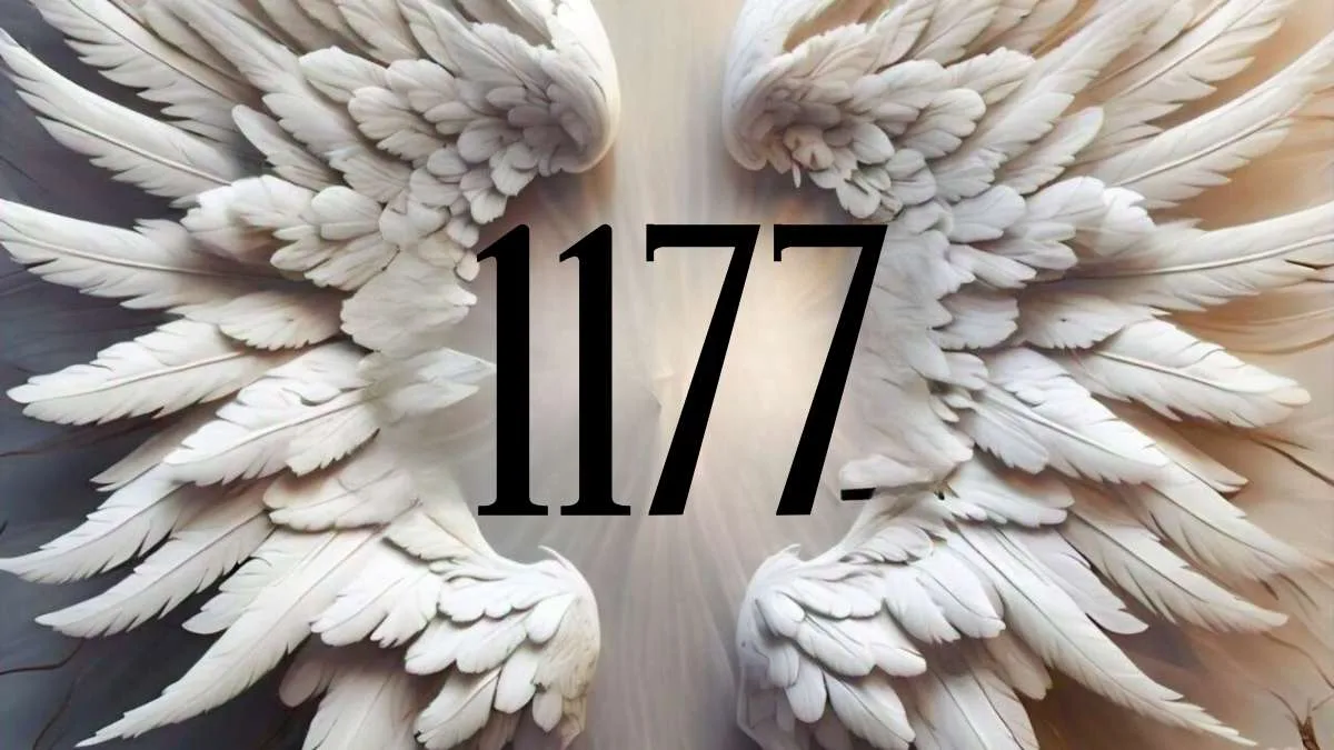 Discover the Meaning of Angel Number 1177: Spiritual Growth and New Beginnings