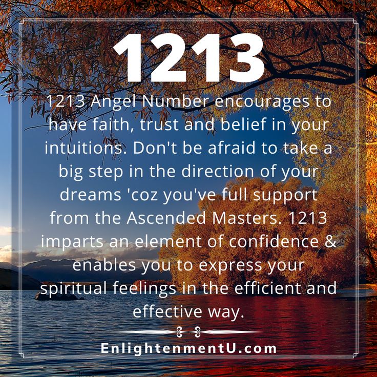 1213 Angel Number and Its Powerful Message for Twin Flames