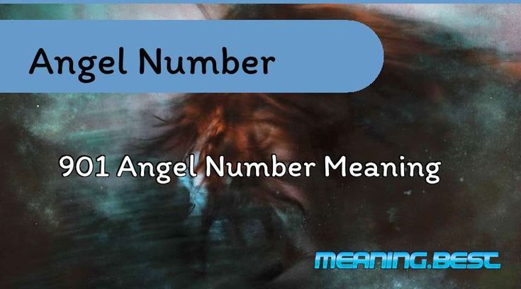 What Does Angel Number 901 Mean for Your Life and Purpose?