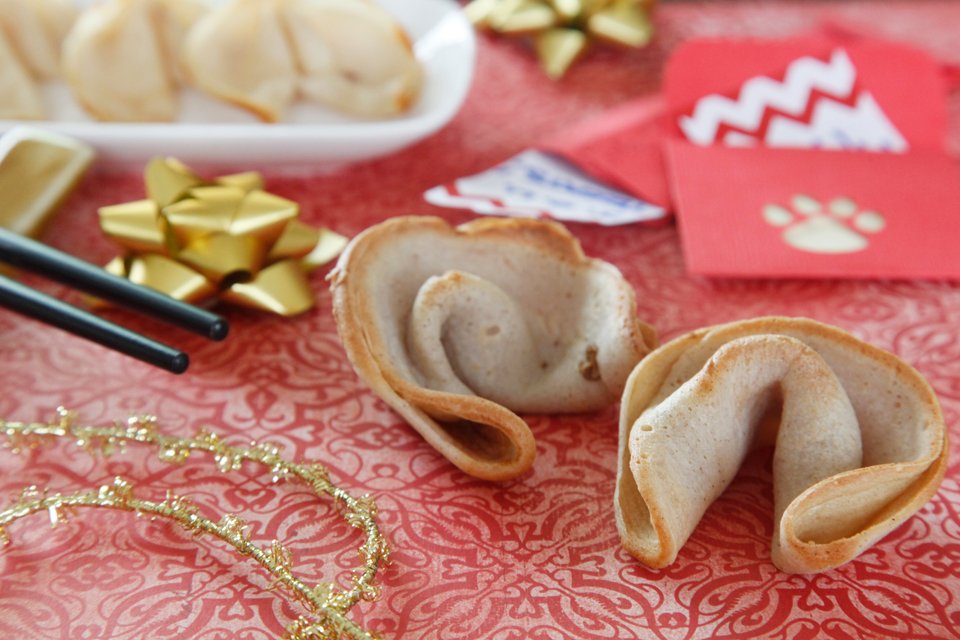 Dog Fortune Cookies: Should You Let Your Pet Try One?