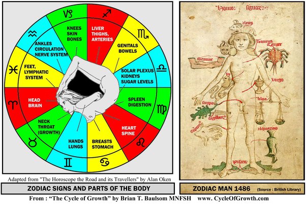 astrology what rules plumbing