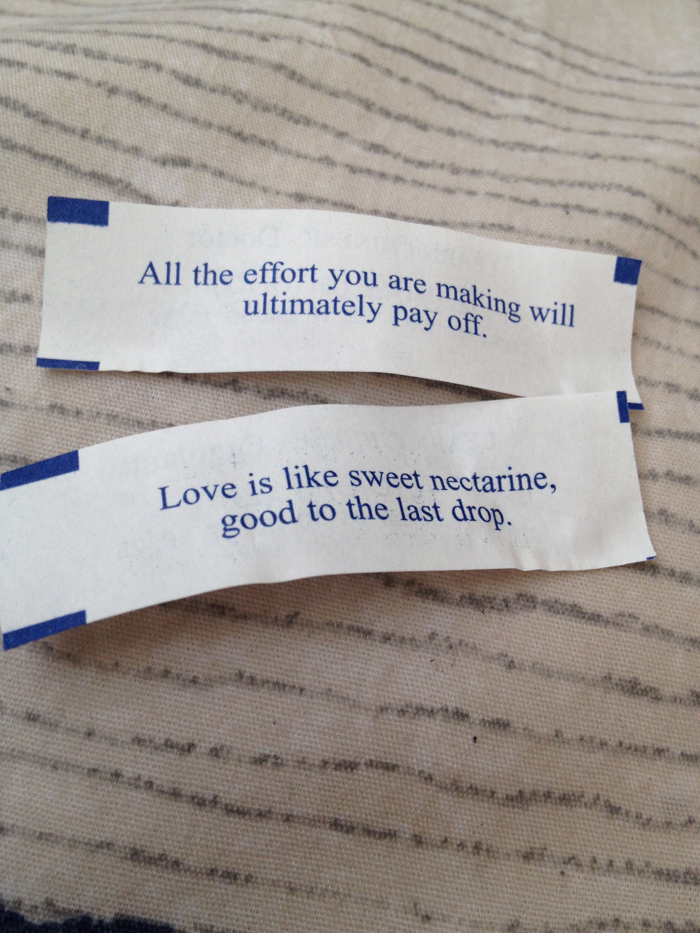 Relationship Fortune Cookie: Sweet Messages for Love and Luck