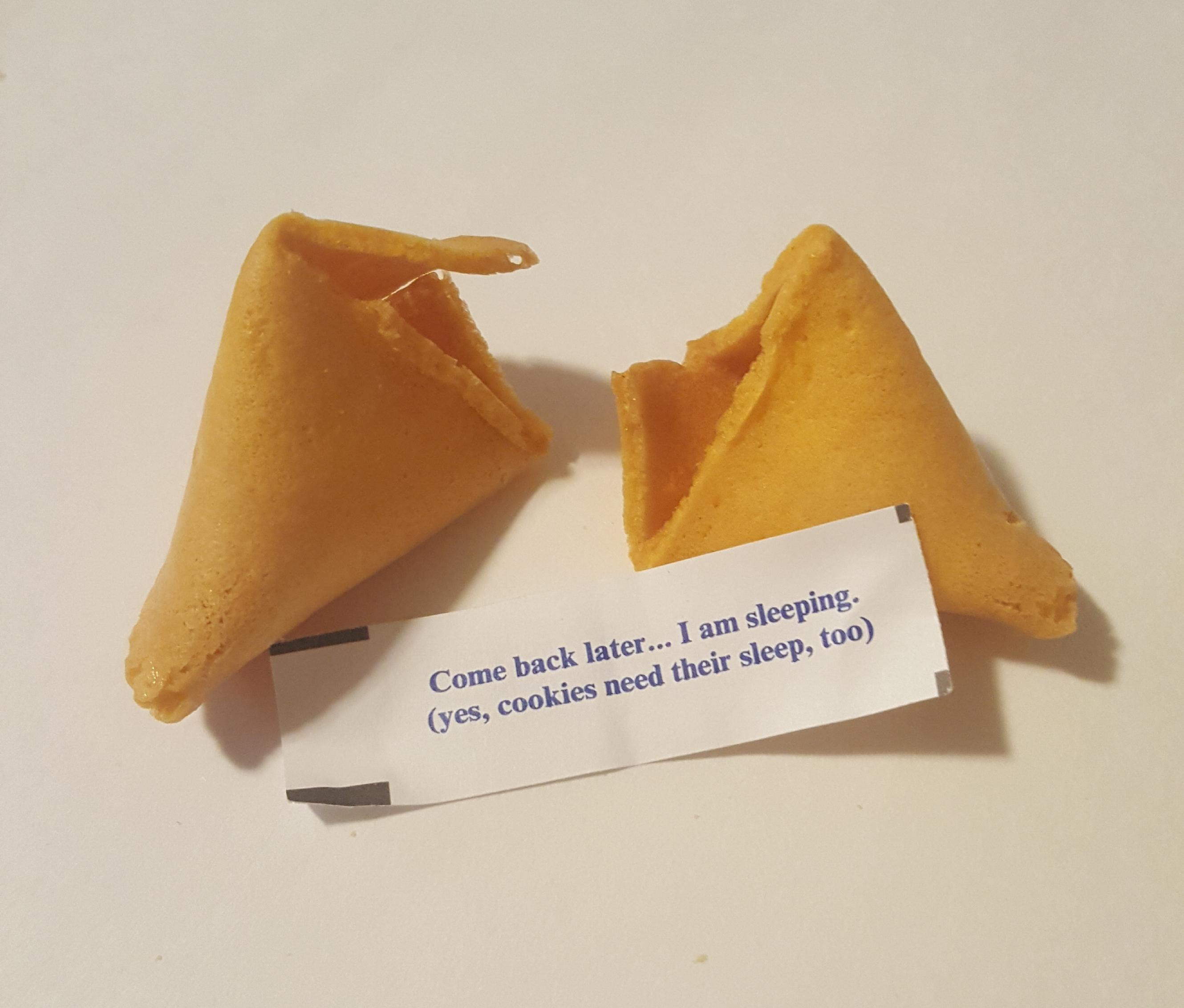 my fortune cookie for today