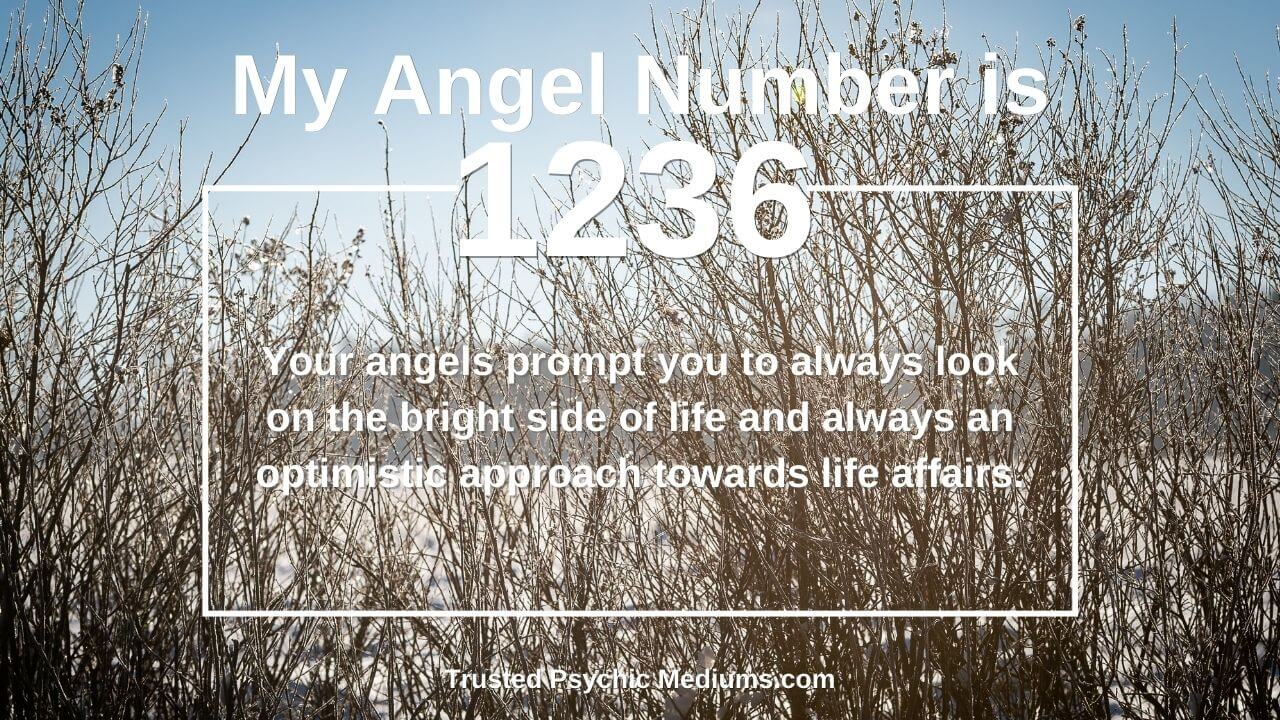 Discover the Power of Angel Number 1236: A Sign of Faith and Transformation