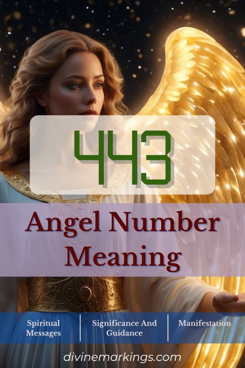 Angel Number 443: Unveiling Its Powerful Message for Your Spiritual Journey