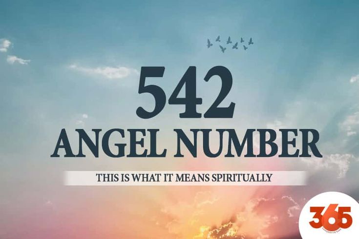 What Does Angel Number 542 Mean? A Message of Spiritual Renewal and Transformation