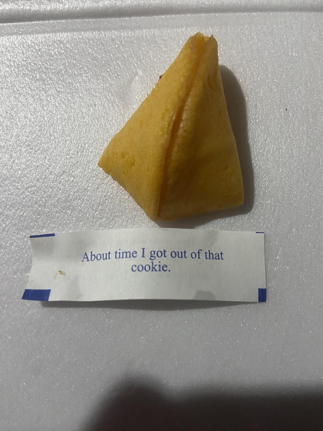 my fortune cookie for today