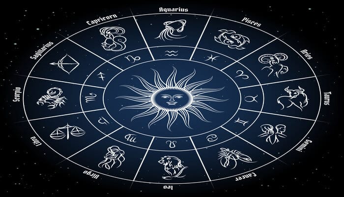 Decoding the Astrology Bear: Your Horoscope Guide